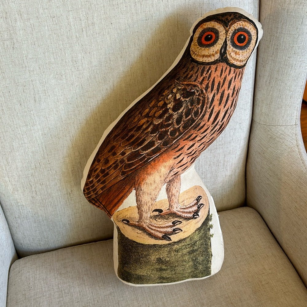 John Derian for Threshold Pocus Horn Owl Throw Pillow